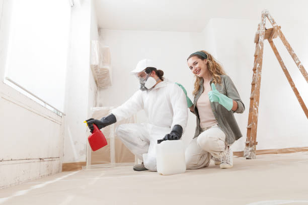 Best Mold Documentation for Insurance Claims  in Maine, WI